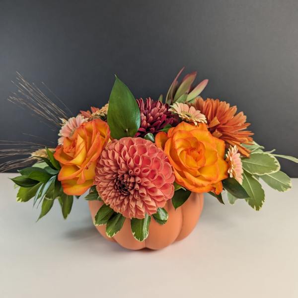 Pumpkin Patch Blooms