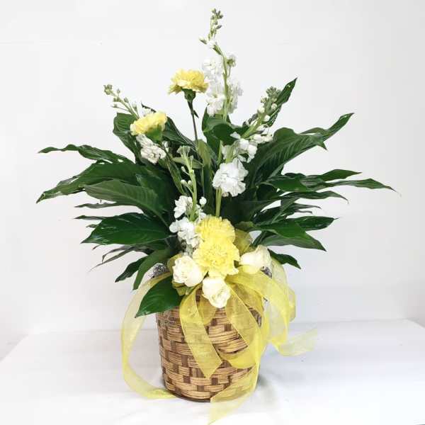 Yellow and white floral arrangement in a woven basket with ribbon