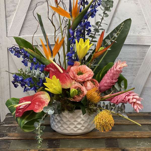 Tropical Tribute
