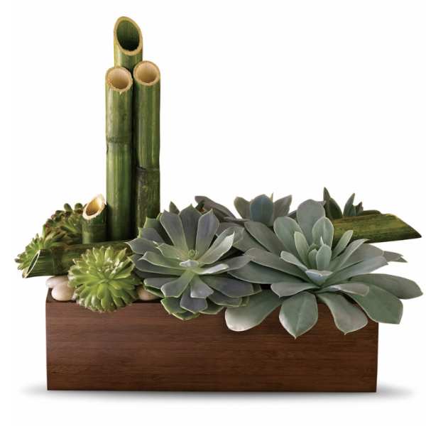 Succulent arrangement in a wooden box with bamboo stalks