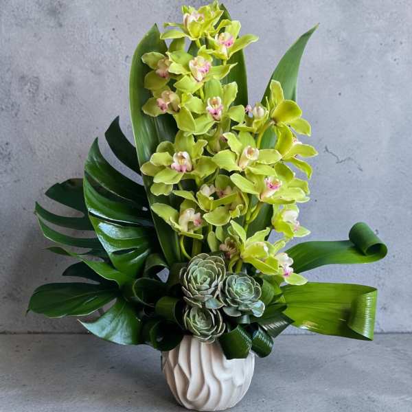 Green orchid arrangement with succulents in a white vase