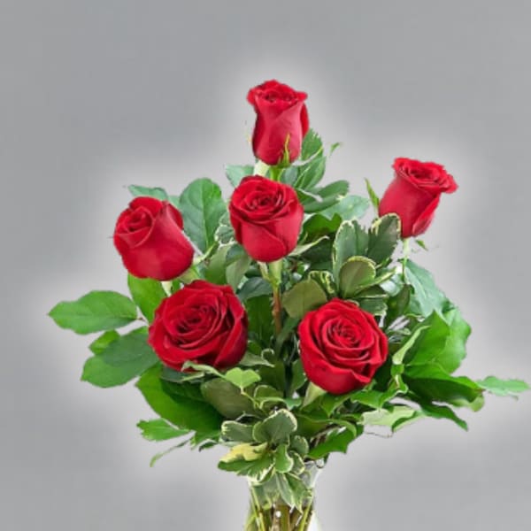 Half dozen red roses