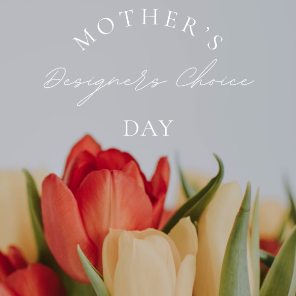 Red and cream tulips with text reading Mother's Designer's Choice Day