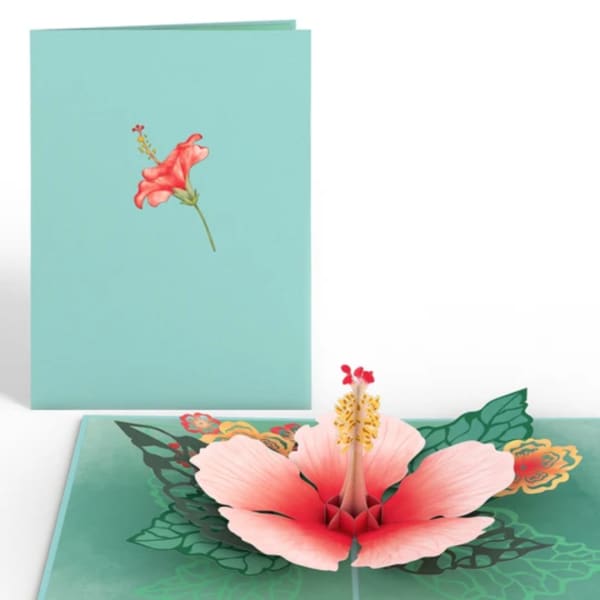 Pop-up card with a pink hibiscus flower on a teal cover
