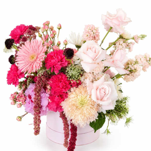 Electric Blush