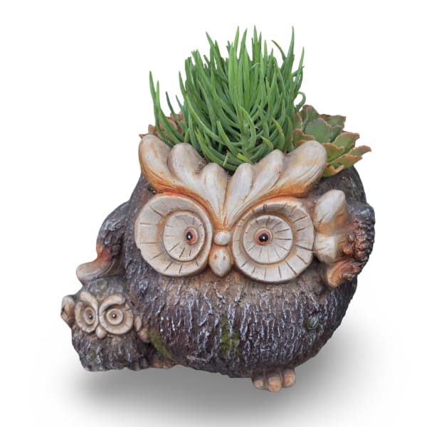 Owl Succulent Planter