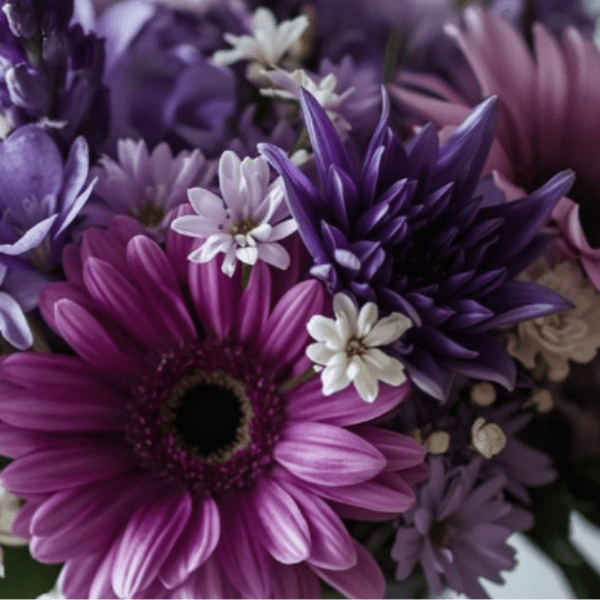 Bouquet of purple and pink daisies with small white filler flowers