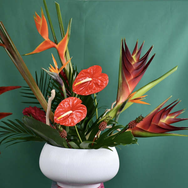 Tropical floral arrangement in a white vase with red anthuriums and bird of paradise