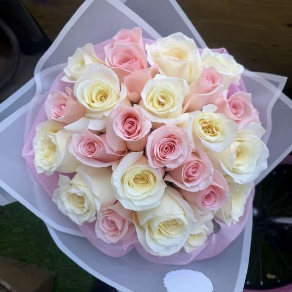 Blush Sweet Elegance