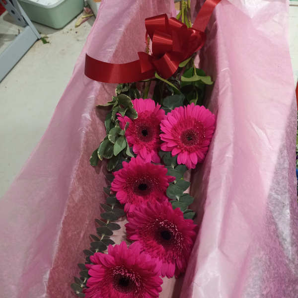 Pink gerbera daisy bouquet wrapped in pink paper with a red ribbon