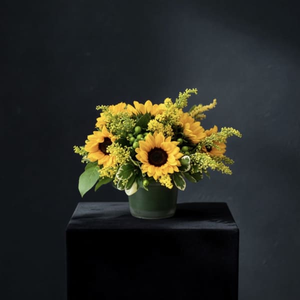 Sunflower Field