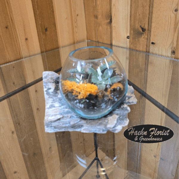 Small succulent arrangement in a round glass bowl on a stone slab