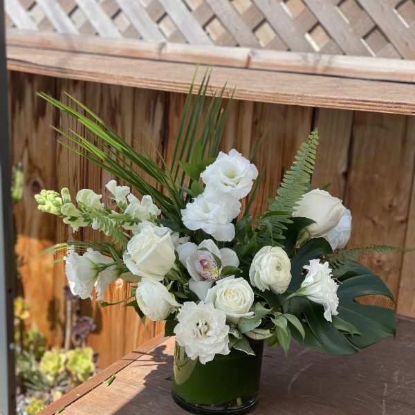 Buen dia
