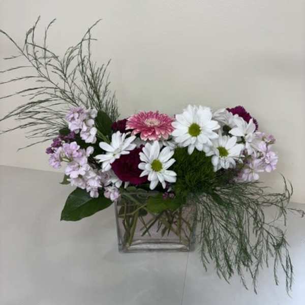 Daisy Daydream