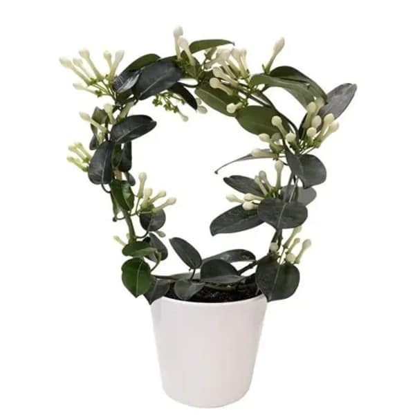 STEPHANOTIS IN CERAMIC