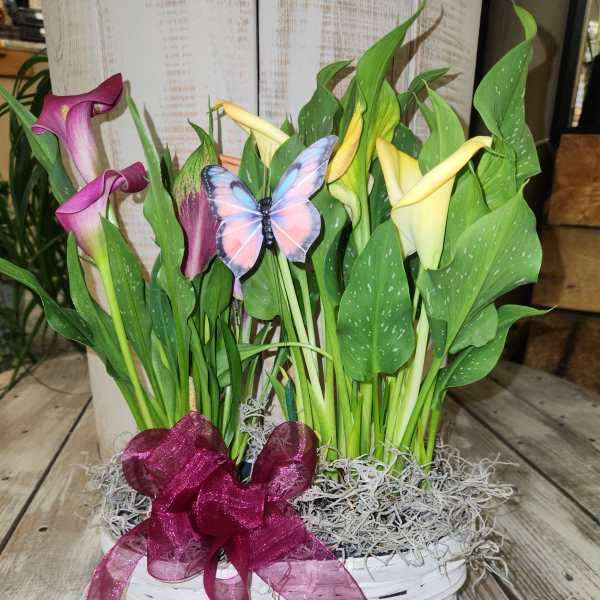 double Mini Calla Basket