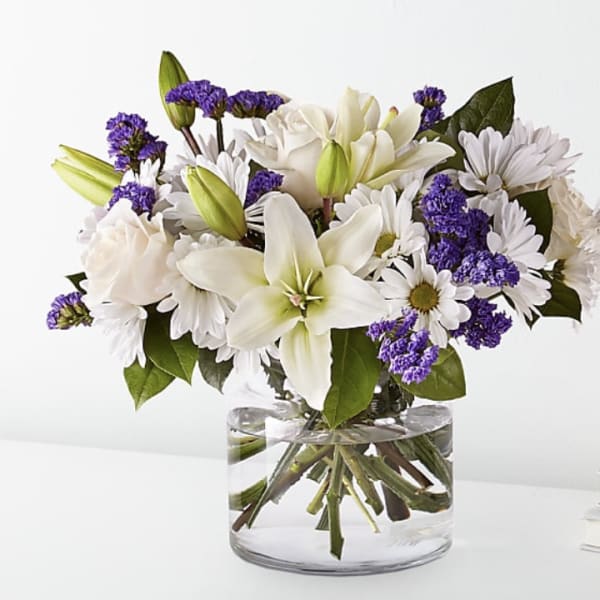 Beyond Blue