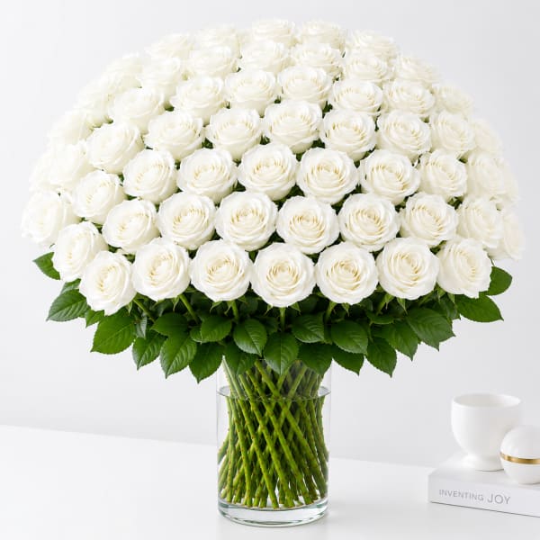 48 White Roses