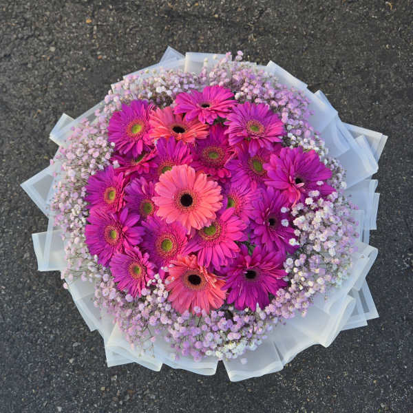 Round bouquet of pink gerbera daisies with pale filler flowers