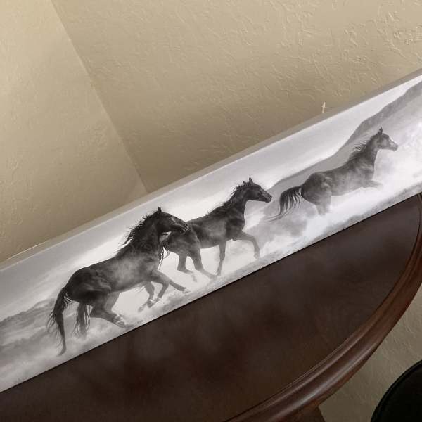 Running Horses Canvas