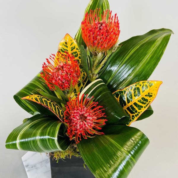 Tropical Trio