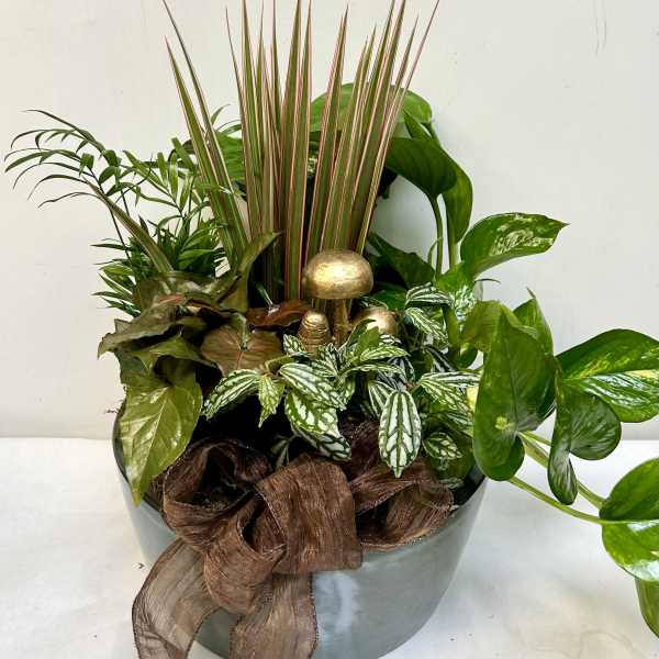 Mixed potted plants in a gray container with a brown ribbon