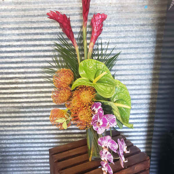 Tropical Fun Loving
