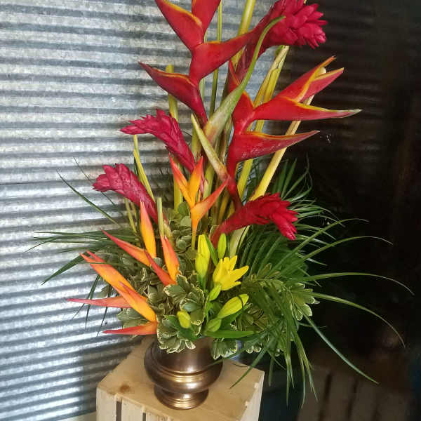 Terrific Tropical