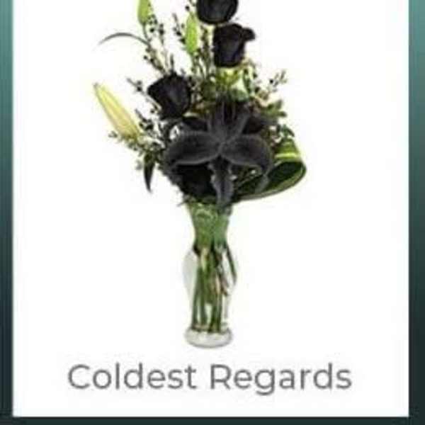 Black roses in a clear glass vase with the words "Coldest Regards" below