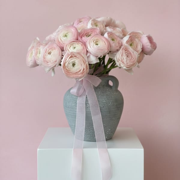 Blush in Beverly