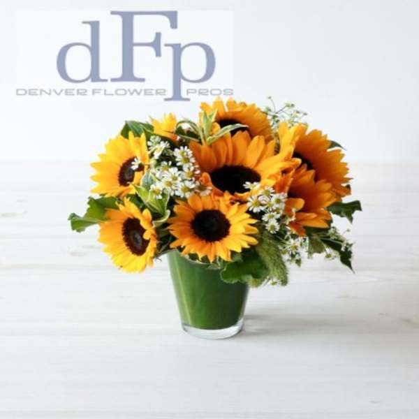 Sunflower bouquet in a green vase with small white filler flowers