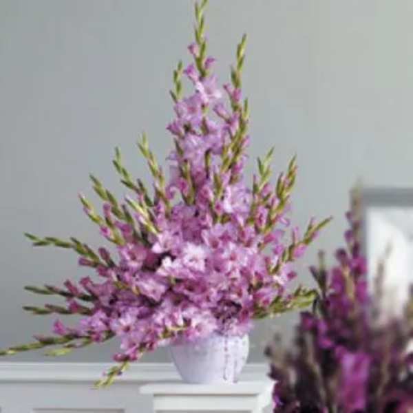 Tall purple floral arrangement in a white vase