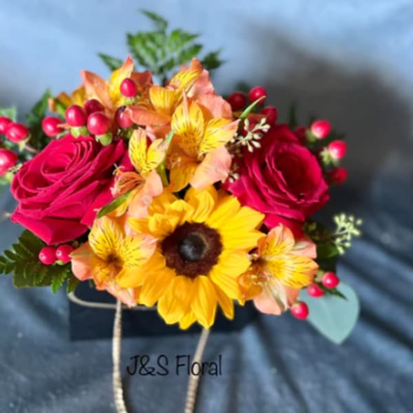WARMNESS
