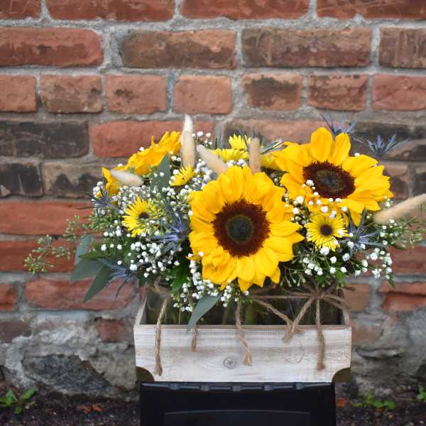 Sunshine trio