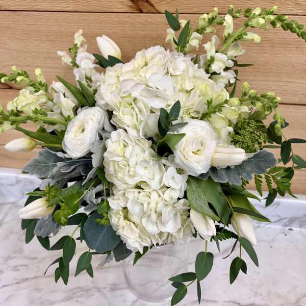 Elegant white