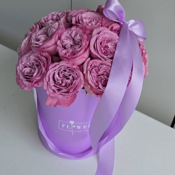Pretty