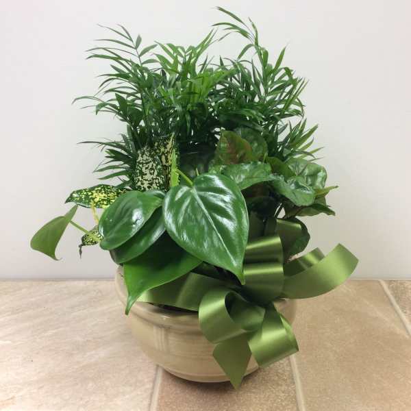 Ceramic Dish Garden, 8”