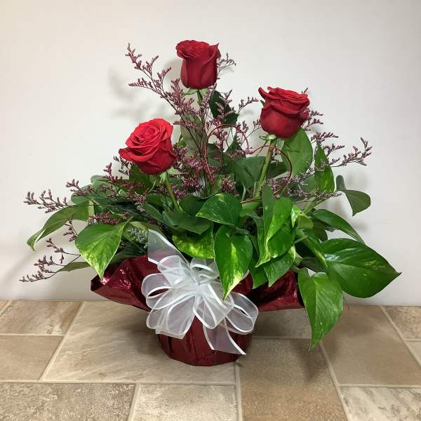 Three red roses in a wrapped arrangement with a white bow