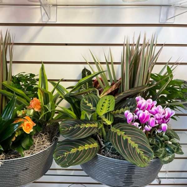 Two mixed plant arrangements in ribbed metal bowls with purple flowers