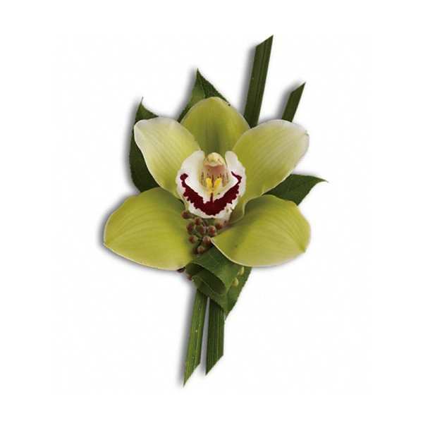 Green orchid boutonniere with a white and burgundy center