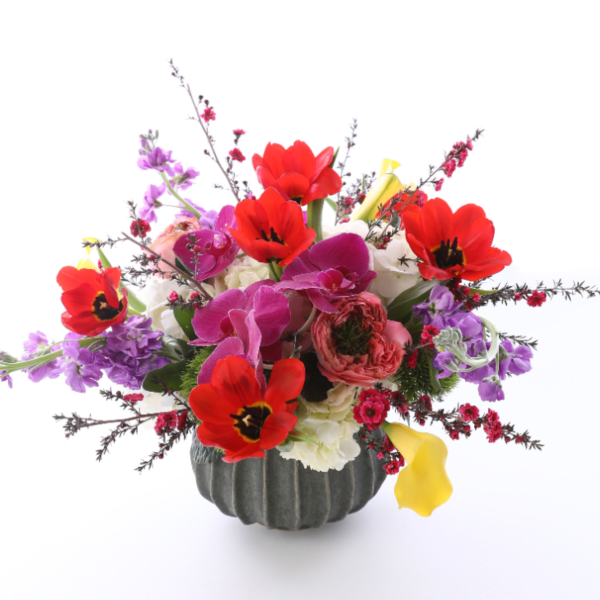 MEDLEY BURST