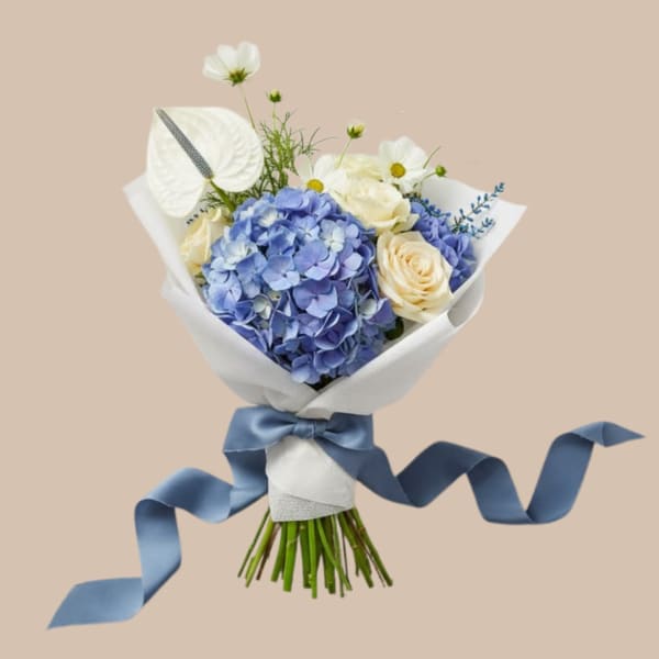 Blue Arrival & Wrapped