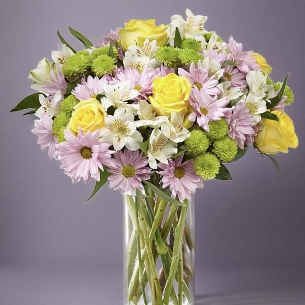 Field of Spring