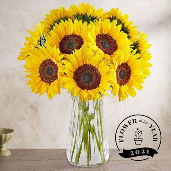 Bouquet of yellow sunflowers in a clear glass vase