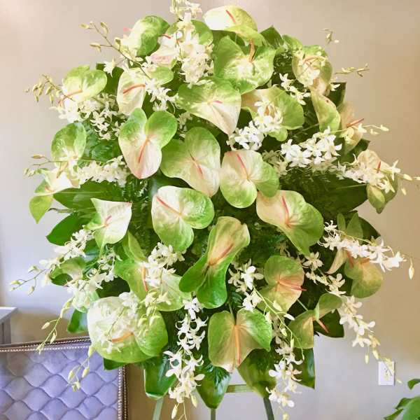 #95 Anthurium Elegance