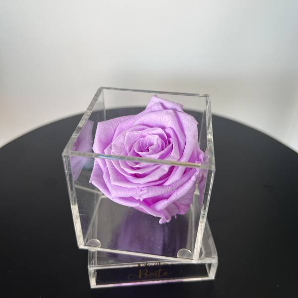 Petit Forever Boîte (Lavender)