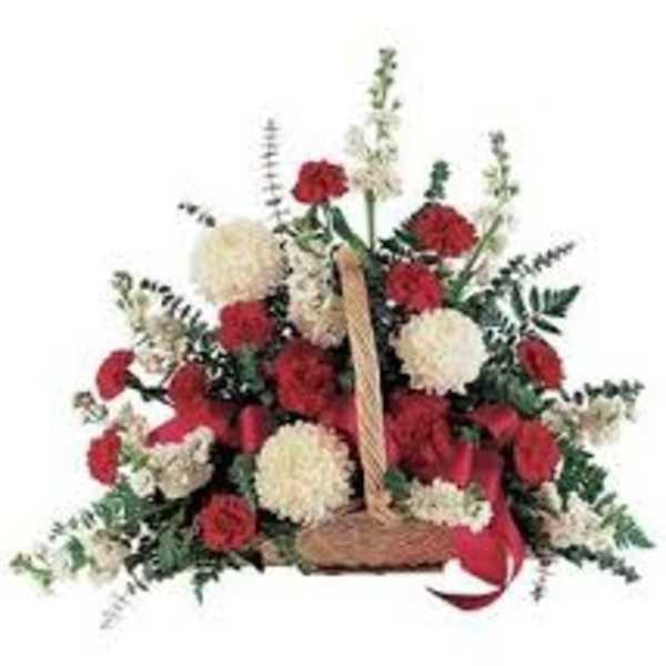 Basket arrangement of red and white carnations