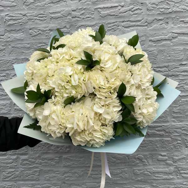 Bouquet of white hydrangeas with green leaves wrapped in pale blue paper