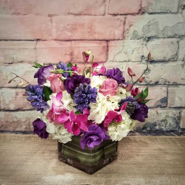 READY TO MINGLE