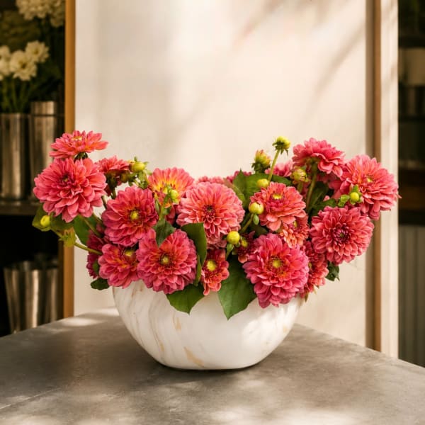 Pink dahlia arrangement in a white bowl vase